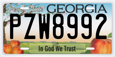 GA license plate PZW8992