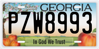 GA license plate PZW8993