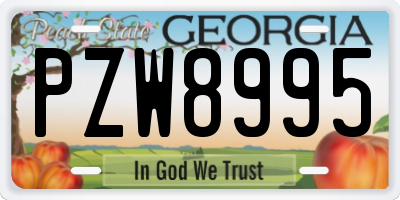 GA license plate PZW8995