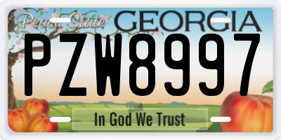 GA license plate PZW8997