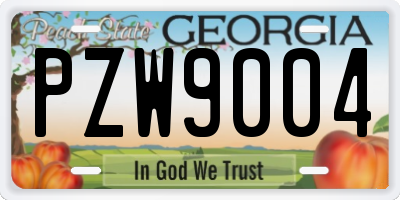 GA license plate PZW9004