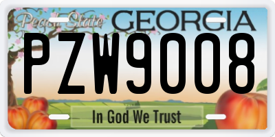 GA license plate PZW9008