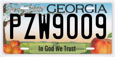 GA license plate PZW9009