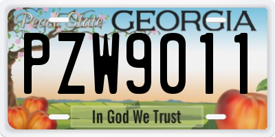 GA license plate PZW9011