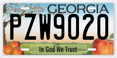 GA license plate PZW9020