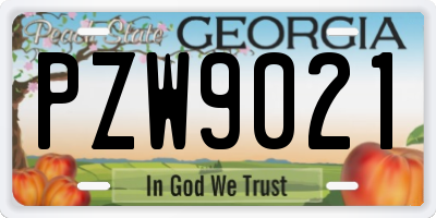 GA license plate PZW9021