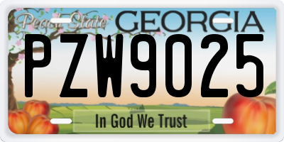 GA license plate PZW9025