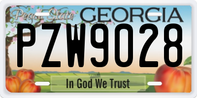 GA license plate PZW9028