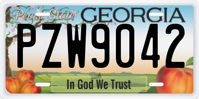 GA license plate PZW9042