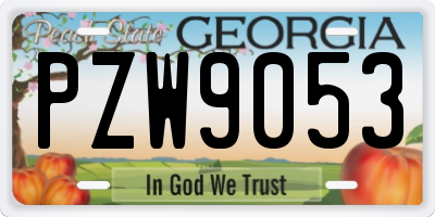 GA license plate PZW9053