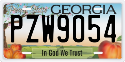 GA license plate PZW9054