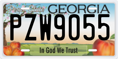 GA license plate PZW9055