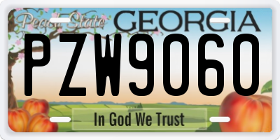 GA license plate PZW9060