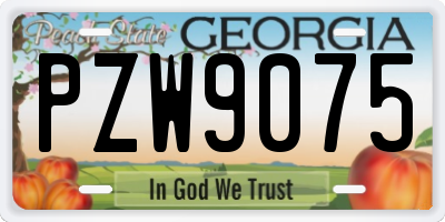 GA license plate PZW9075
