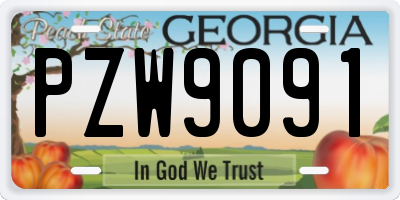 GA license plate PZW9091