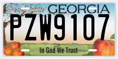 GA license plate PZW9107