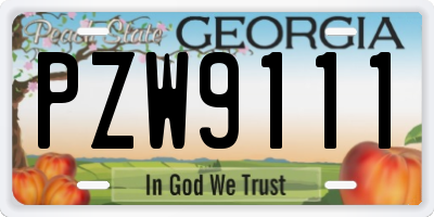 GA license plate PZW9111