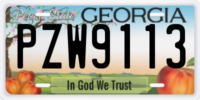 GA license plate PZW9113