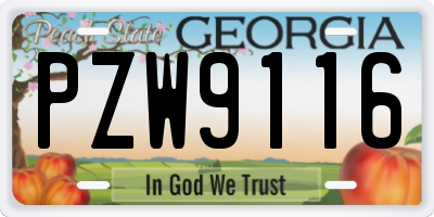 GA license plate PZW9116
