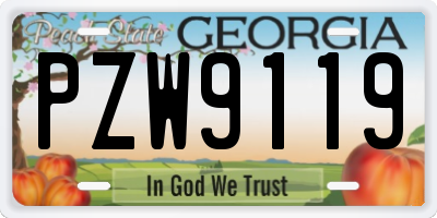 GA license plate PZW9119