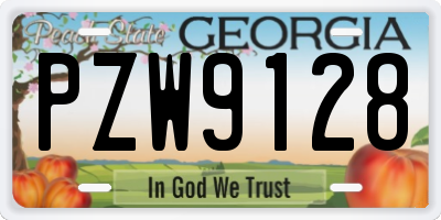 GA license plate PZW9128