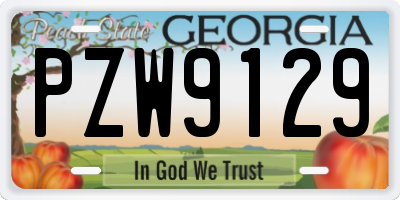 GA license plate PZW9129