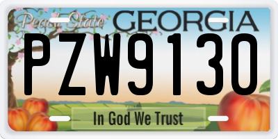GA license plate PZW9130