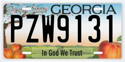 GA license plate PZW9131