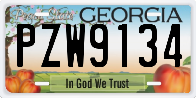 GA license plate PZW9134