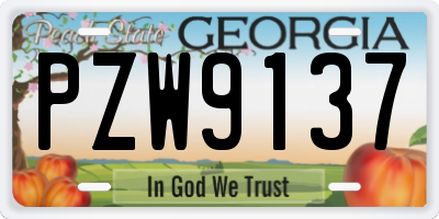 GA license plate PZW9137