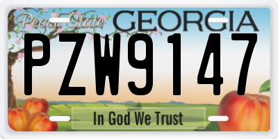 GA license plate PZW9147