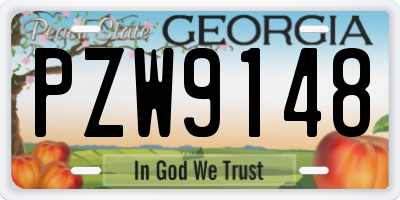 GA license plate PZW9148