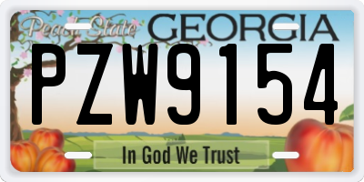 GA license plate PZW9154