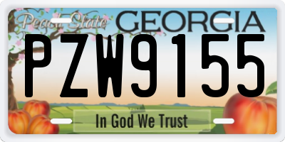 GA license plate PZW9155