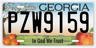 GA license plate PZW9159