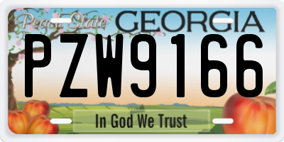 GA license plate PZW9166