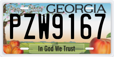 GA license plate PZW9167