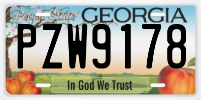 GA license plate PZW9178
