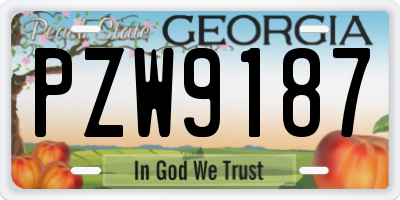 GA license plate PZW9187