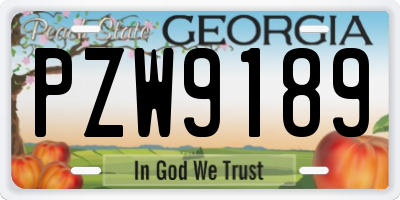 GA license plate PZW9189
