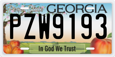 GA license plate PZW9193