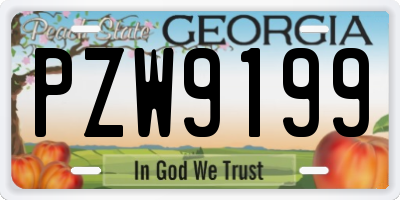 GA license plate PZW9199