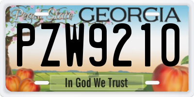 GA license plate PZW9210