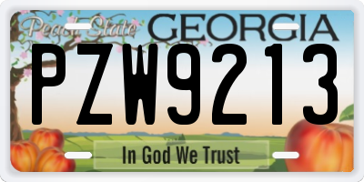 GA license plate PZW9213