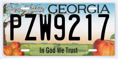 GA license plate PZW9217