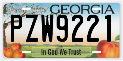 GA license plate PZW9221
