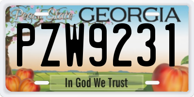 GA license plate PZW9231