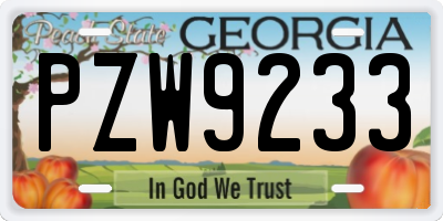 GA license plate PZW9233