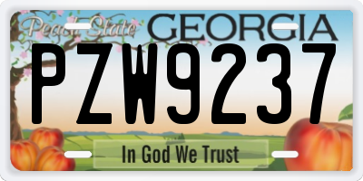 GA license plate PZW9237
