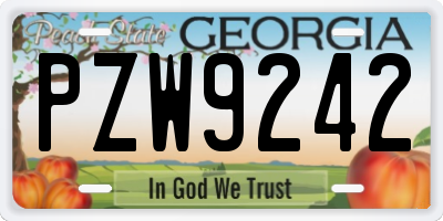 GA license plate PZW9242